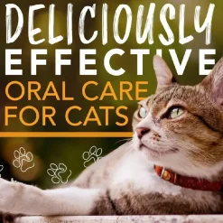 TropiClean Enticers Teeth Cleaning Honey Marinated Chicken Flavor for Cats (2oz)