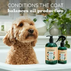 TropiClean Essentials Jojoba Oil Control Shampoo for Dogs (16 oz)