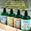 TropiClean Essentials Shea Butter Moisturizing Conditioner for Dogs, Puppies, and Cats (16 oz)