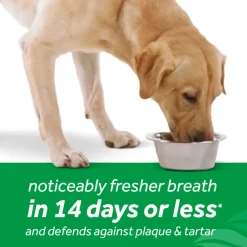 TropiClean Fresh Breath Dental Health Solution Supports Skin Health for Dogs