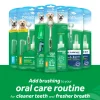 TropiClean Fresh Breath Dental & Oral Care Brushing Gel for Dogs (2 oz)