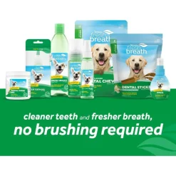 Tropiclean Fresh Breath Freshener Mint Foam For Pets (4.5 oz)