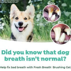 TropiClean Fresh Breath Oral Care Kit for Small & Medium Dogs