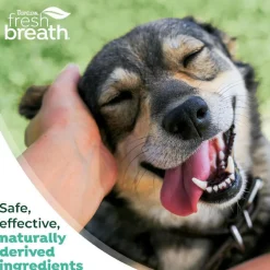 TropiClean Fresh Breath Oral Care Kit for Small & Medium Dogs