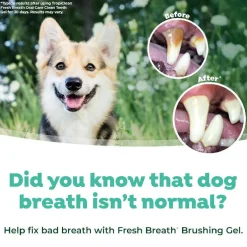 TropiClean Fresh Breath Oral Care Kit for Large Dogs