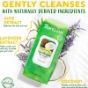 Tropiclean Hypoallergenic Deodorizing Wipes for Dogs & Cats (100 ct)