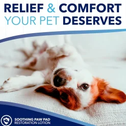 TropiClean OxyMed Restore Paw Pad Lotion for Dogs & Cats (4 oz)