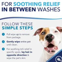 TropiClean OxyMed Soothing Allergy Relief Wipes For Dogs & Cats (50 ct)
