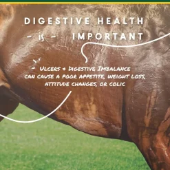 U-Gard Gastric Support Pellets for Horses