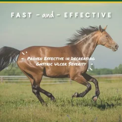 U-Gard Gastric Support Pellets for Horses
