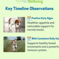 Ultimate Probiotic 9 Strains with Prebiotics for Dogs (11.29 oz)