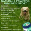 Under the Weather Allergy & Itch Soft Chews for Dogs, 60-count