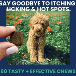 Under the Weather Allergy & Itch Soft Chews for Dogs, 60-count