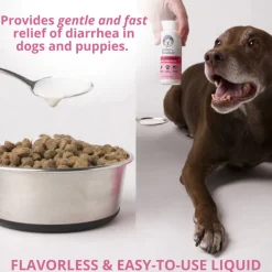 Under the Weather Anti-diarrhea Liquid for Dogs, 4-oz