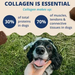 Under the Weather Collagen Soft Chews for Dogs, 60 chews