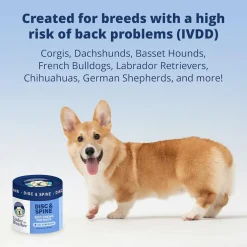 Under The Weather Disc & Spine Vet Strength Support for Dogs (60 soft chews)