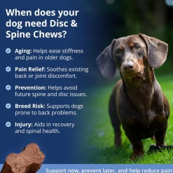 Under The Weather Disc & Spine Vet Strength Support for Dogs (60 soft chews)