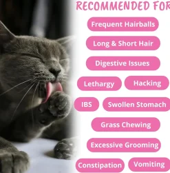 Under the Weather Hairball Soft Chews for Cats, 60 count