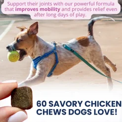 Under the Weather Hip & Joint Soft Chews for Dogs, 60-count