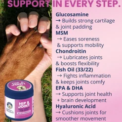 Under the Weather Hip & Joint Soft Chews for Dogs, 60-count