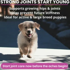 Under the Weather Hip & Joint Soft Chews for Dogs, 60-count