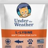 Under the Weather L-Lysine Soft Chews for Cats, 60 count
