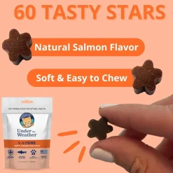 Under the Weather L-Lysine Soft Chews for Cats, 60 count
