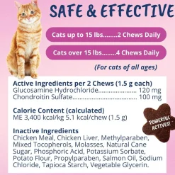 Under the Weather Mobility Soft Chews for Cats, 60 count