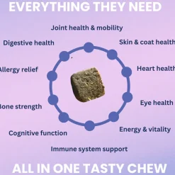 Under the Weather Multivitamin Soft Chews for Dogs, 60-count