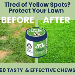 Under the Weather Nice Grass Soft Chews for Dogs, 60-count