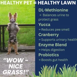 Under the Weather Nice Grass Soft Chews for Dogs, 60-count