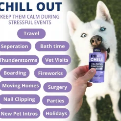 Under the Weather PB & Chill Calming Peanut Butter On-The-Go Packets for Dogs, 1-oz (6-pack)