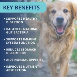 Under the Weather Probiotic Soft Chews for Dogs, 60 chews