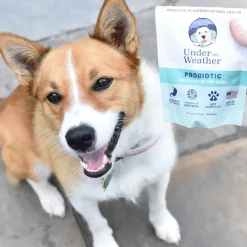 Under the Weather Probiotic Soft Chews for Dogs, 60 chews
