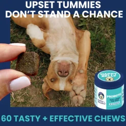 Under the Weather Probiotic Soft Chews for Dogs, 60-count
