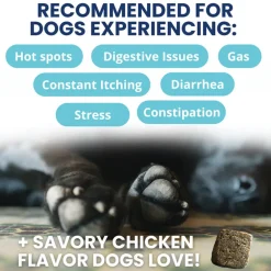 Under the Weather Probiotic Soft Chews for Dogs, 60-count