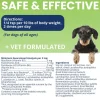 Under the Weather Ready Balance Probiotic Supplement for Dogs, 30 cc