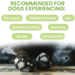 Under the Weather Ready Balance Probiotic Supplement for Dogs, 30 cc