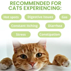 Under the Weather Ready Balance Oral Probiotic Gel for Cats, 30 cc