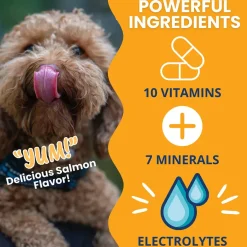 Under the Weather Ready Cal Gel High Calorie Food Supplements for Dogs, 100 cc
