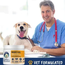 Under the Weather Ready Cal High Calorie Topper For Dogs, Chicken Flavor, 10.58-oz