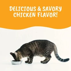 Under the Weather Ready Cal High Calorie Topper Savory Chicken Powder for Cats, 5.29-oz