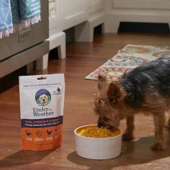 Under the Weather Rice, Chicken & Pumpkin Freeze Dried Bland Diet for Dogs, 6-oz