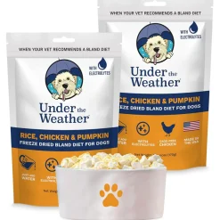 Under the Weather Rice, Chicken & Pumpkin Freeze Dried Bland Diet for Dogs, 6-oz