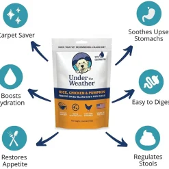 Under the Weather Rice, Chicken & Pumpkin Freeze Dried Bland Diet for Dogs, 6-oz