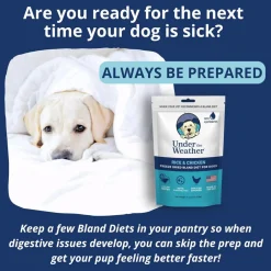 Under the Weather Rice & Chicken Freeze Dried Bland Diet for Dogs, 6-oz
