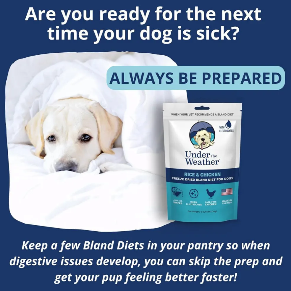 Under the Weather Rice & Chicken Freeze Dried Bland Diet for Dogs, 6-oz