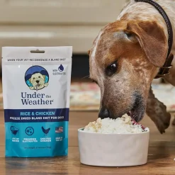 Under the Weather Rice & Chicken Freeze Dried Bland Diet for Dogs, 6-oz