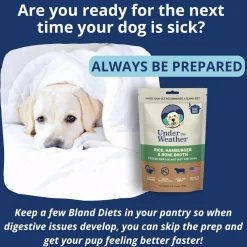 Under the Weather Rice, Hamburger & Bone Broth Freeze Dried Bland Diet for Dogs, 6-oz
