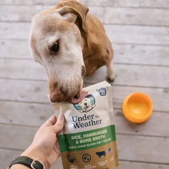 Under the Weather Rice, Hamburger & Bone Broth Freeze Dried Bland Diet for Dogs, 6-oz